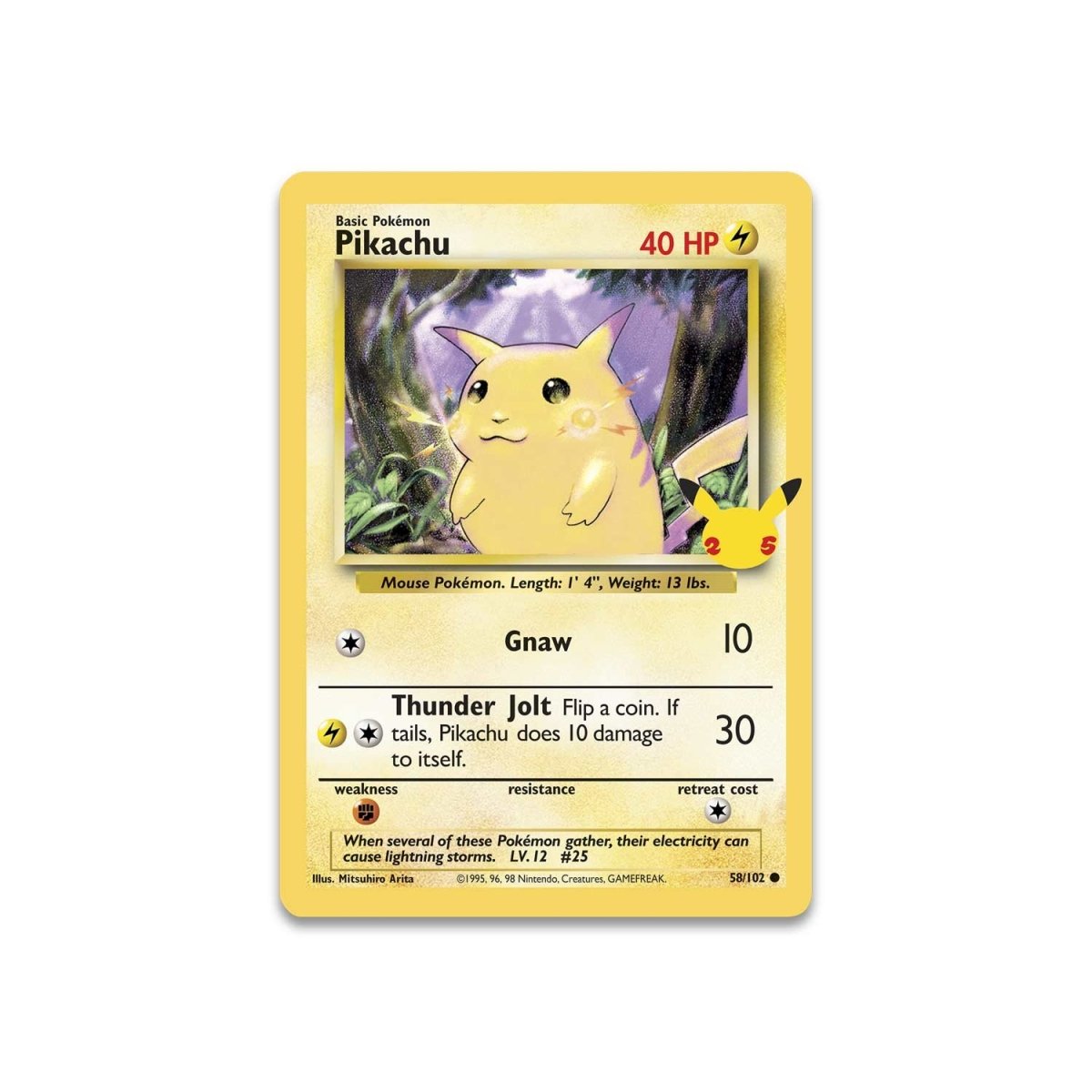 Pokémon TCG: First Partner Collector's Binder (2021)